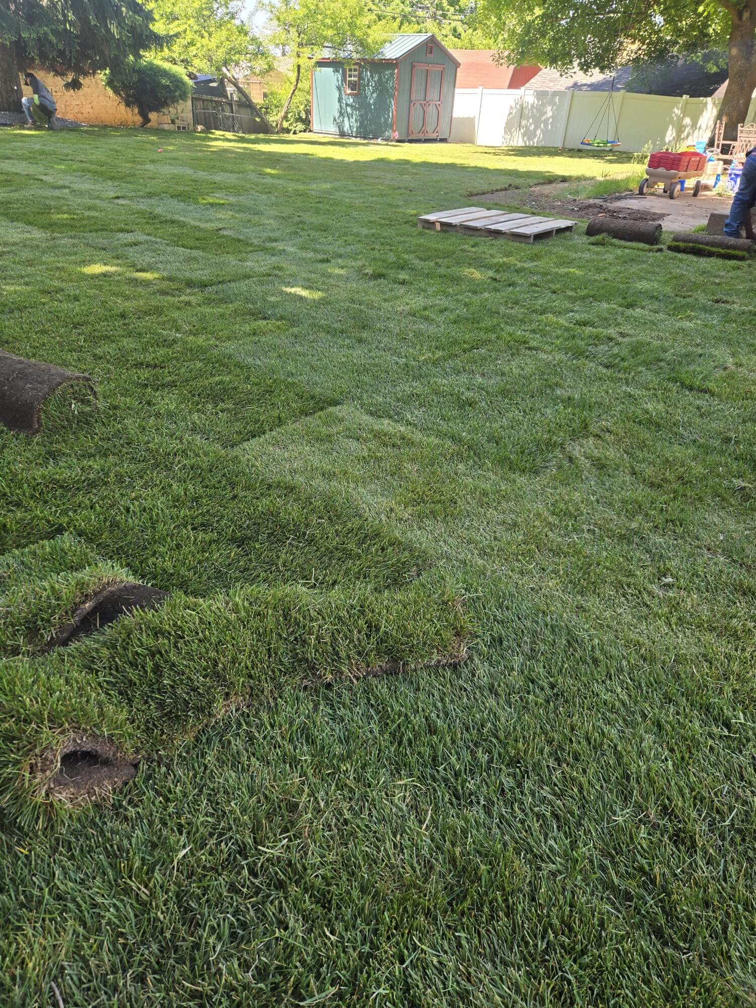 Fresh sod being installed in a Northern Utah yard